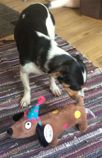 155. FotoChallange * David und Goliath *-Beitrag-Bild