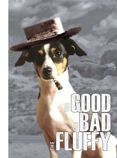 Dogorama Photo Challenge - TV Hund-Beitrag-Bild