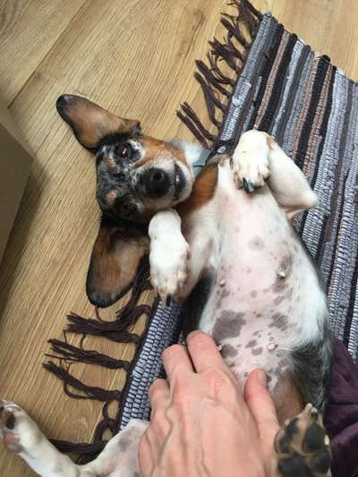 150. Foto Challaenge:  Die Augen, der Spiegel der Seele-Beitrag-Bild