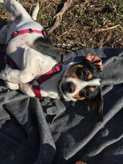 150. Foto Challaenge:  Die Augen, der Spiegel der Seele-Beitrag-Bild