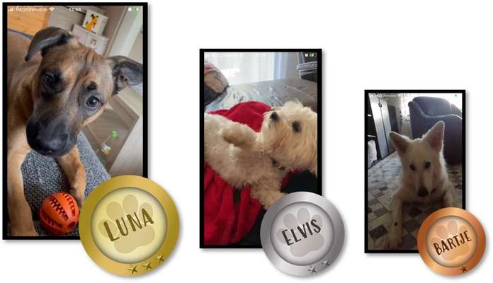 Videochallenge "Kannst du bitte..."-Beitrag-Bild