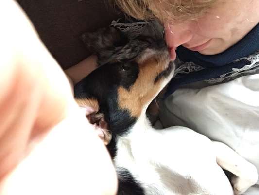 Dogorama Photo Challenge - Liebesbeweis-Beitrag-Bild