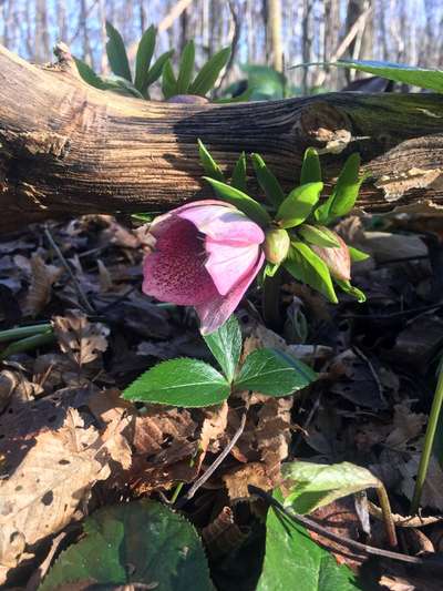 Was hat euch heute gefreut?-Beitrag-Bild