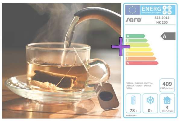 Wie heißt dein Hund?-Beitrag-Bild