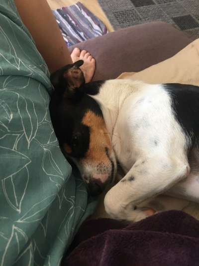 69. Handy-Fotochallenge: Soundtrack-Beitrag-Bild