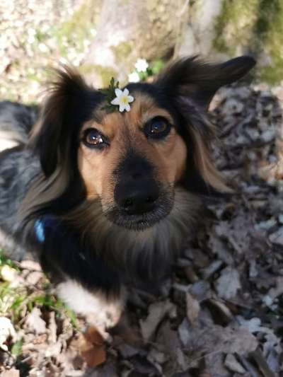 Fotochallenge 78

Es grünt und blüht-Beitrag-Bild