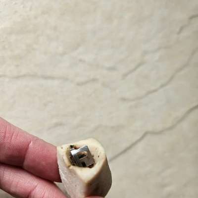 Giftköder-Giftköder auf dem Feldweg Kreuzstraße-Bild