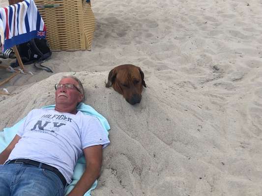 Hundmenschfotos-Beitrag-Bild