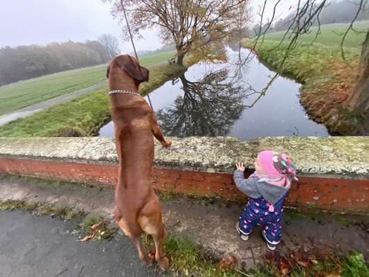 Hundmenschfotos-Beitrag-Bild