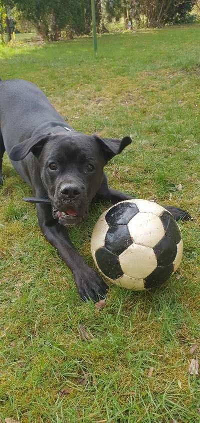 Fotochallenge No. 26                                     Wald und Wiese-Beitrag-Bild