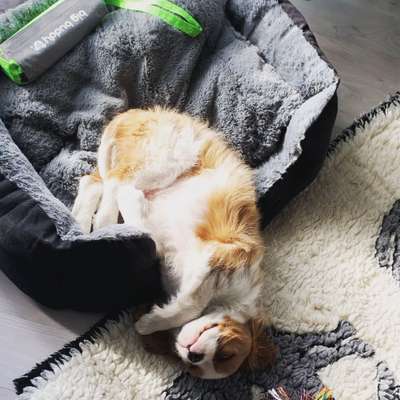 Die unbequemsten und lustigsten Schlafpositionen-Beitrag-Bild