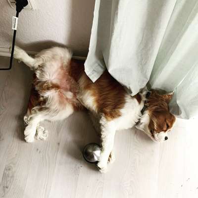 Die unbequemsten und lustigsten Schlafpositionen-Beitrag-Bild