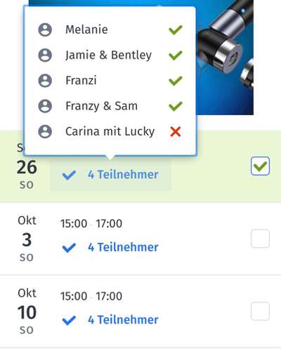 Cavaliere im Raum Böblingen/Stuttgart-Beitrag-Bild