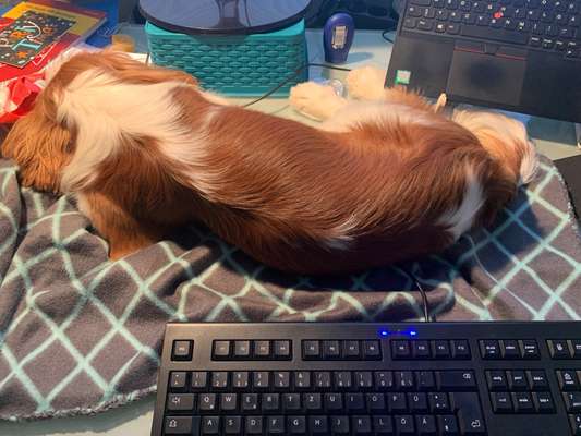 Die unbequemsten und lustigsten Schlafpositionen-Beitrag-Bild