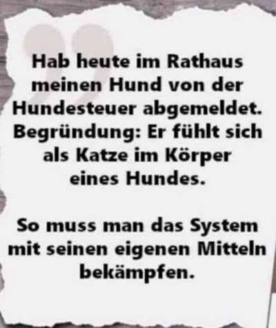 Hunde Memes-Beitrag-Bild