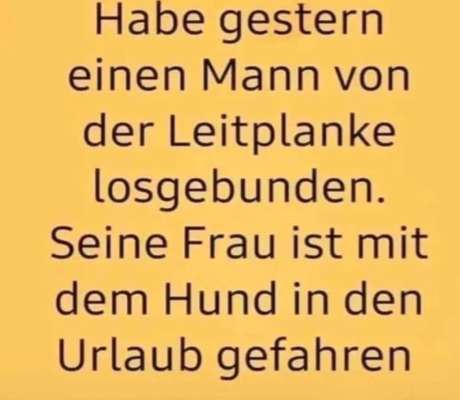 Hunde Memes-Beitrag-Bild