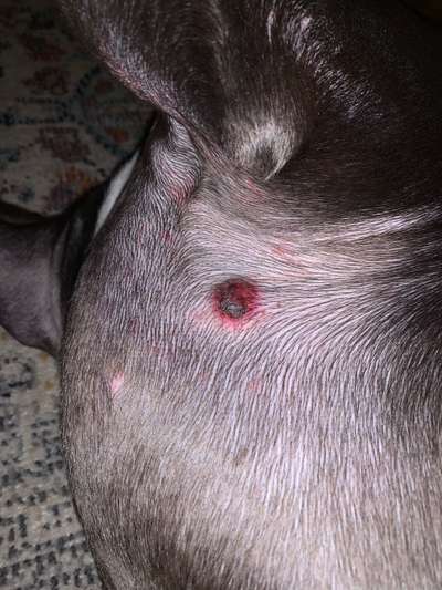 Kann uns jemand behilflich sein?-Beitrag-Bild