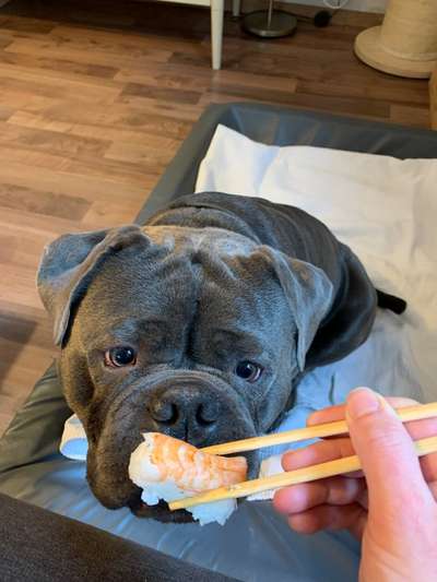 Dogorama Photo Challenge - Details Ganz nah-Beitrag-Bild