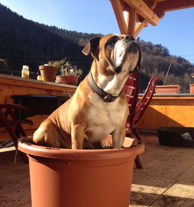 121. Fotochallenge-Beitrag-Bild