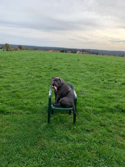 64. Handy Foto Challenge - Hoch hinaus-Beitrag-Bild