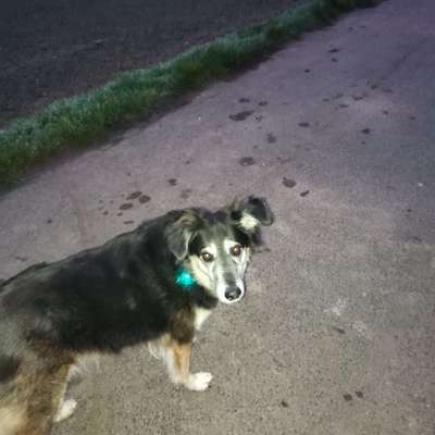 Fotochallenge Nr. 56 - geliebte Senioren-Beitrag-Bild