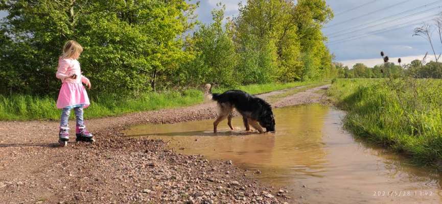 Dogorama-Monats-Challenge-Mai "Wasser"-Beitrag-Bild
