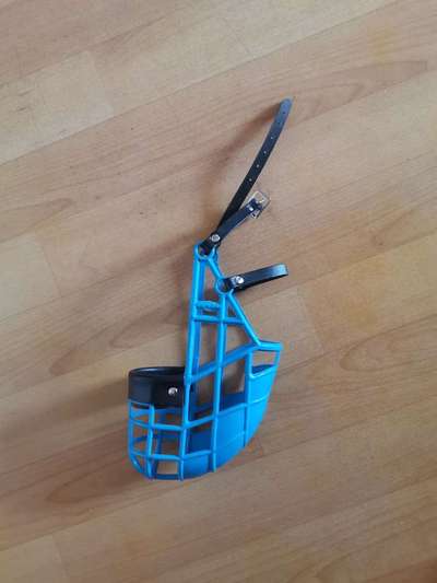 Wie sitzt mein Maulkorb / Maulkorb-Beratung-Beitrag-Bild