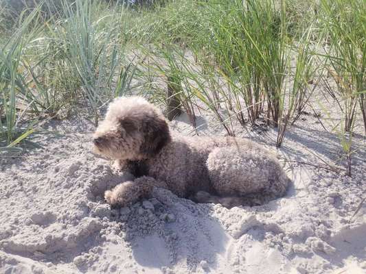 Beschäftigungsideen-Beitrag-Bild