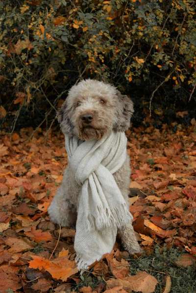 Zeigt eure Portraits-Beitrag-Bild