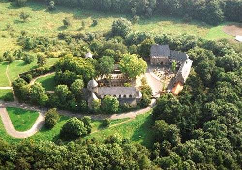 Hundehaltung - Unterschiede Stadt und Land-Beitrag-Bild