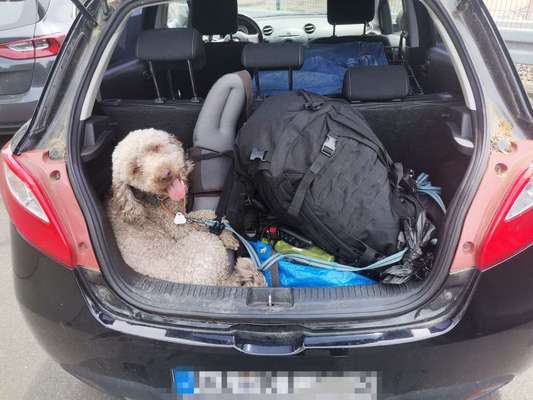 Fotochallenge 101:
On Tour-Beitrag-Bild