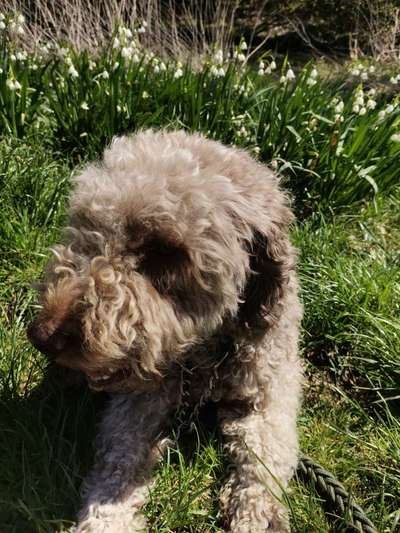 Ist das ein...?-Beitrag-Bild