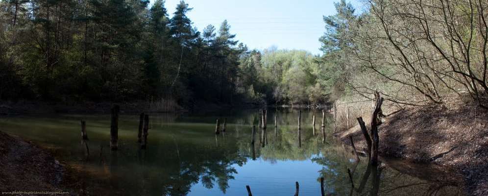 Hundehaltung - Unterschiede Stadt und Land-Beitrag-Bild