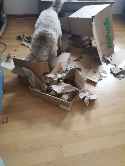 Beschäftigungsideen-Beitrag-Bild