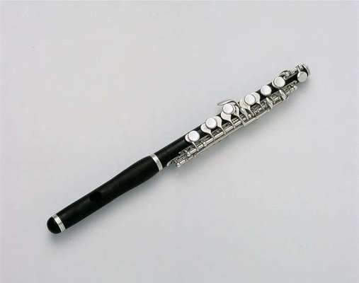 Wie heißt dein Hund?-Beitrag-Bild