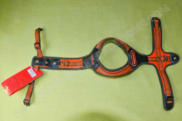 Geschirr -Befestigungsring am Bauch hinten-Beitrag-Bild