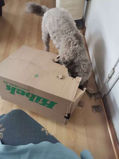 Kopfarbeit ideen für drin-Beitrag-Bild