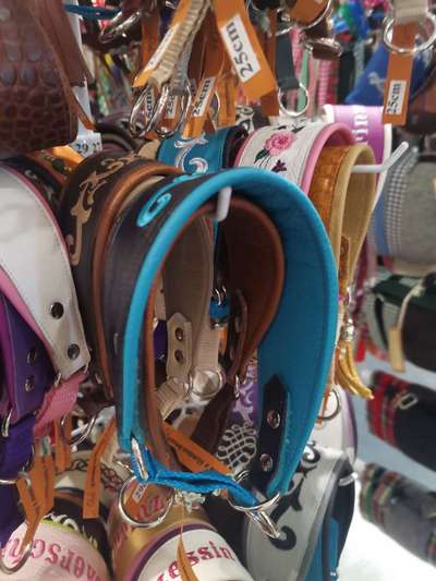 Die 21. Rostocker Rassehunde-Ausstellung: Eine Veranstaltung mit Vorbehalten?-Beitrag-Bild