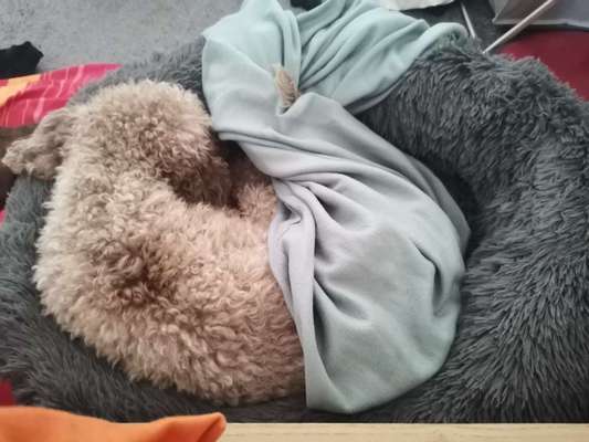 Außergewöhnliche Merkmale-Beitrag-Bild