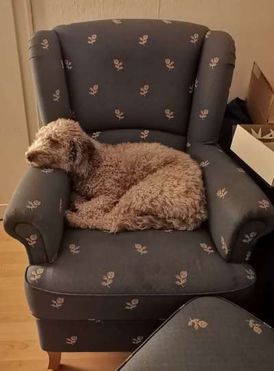 Foto Challenge 112 
ungewöhnliche Schlafplätze-Beitrag-Bild