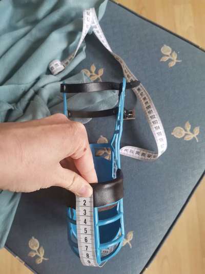 Wie sitzt mein Maulkorb / Maulkorb-Beratung-Beitrag-Bild