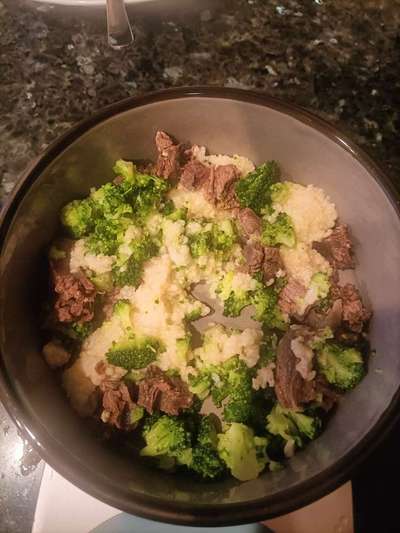 Zeigt her Eure Futternäpfe-Beitrag-Bild