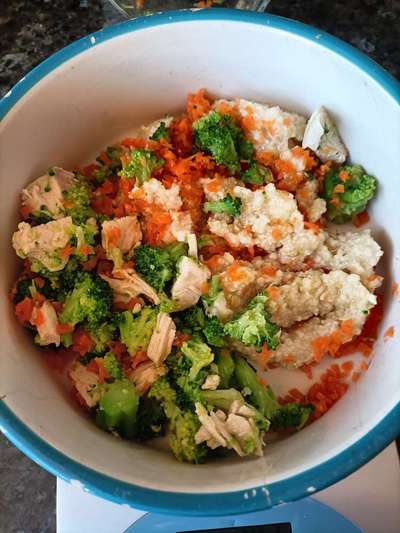 Zeigt her Eure Futternäpfe-Beitrag-Bild