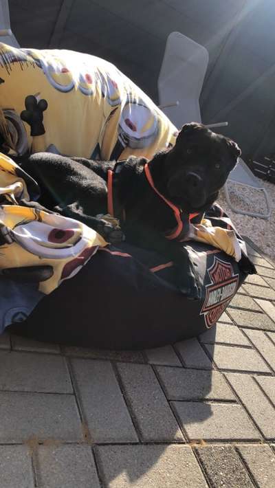 Fotochallange Nr. 57     PORTRÄT.   Beendet!!!!!!!!-Beitrag-Bild