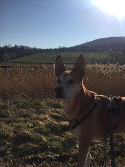 Fotowettbewerb Natur-Beitrag-Bild