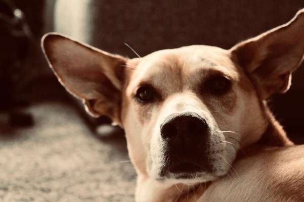 Blick fürs Detail!-Beitrag-Bild