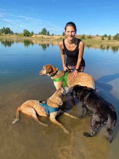 Hundeauslaufgebiet-Sandgrube Landsberg-Bild