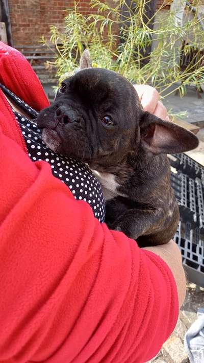 Erstes Bild-Beitrag-Bild