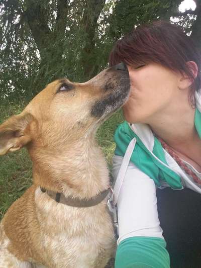 Handyfoto challenge Nr.7-Beitrag-Bild