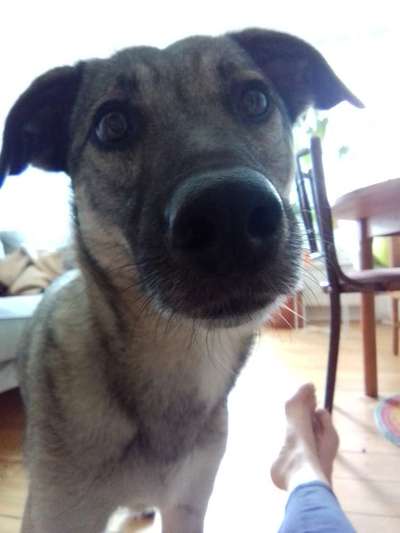 Fotochallange 84-Beitrag-Bild